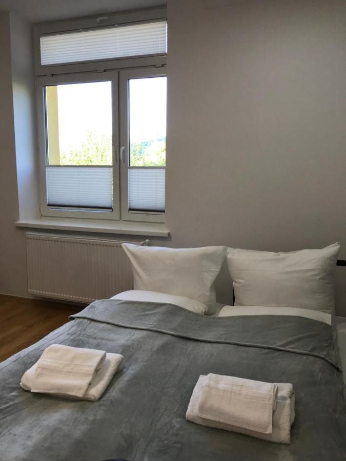 Cristal Apartament Krynica - Zdroj Dış mekan fotoğraf