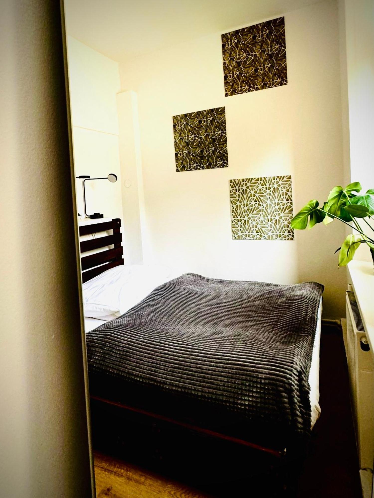 Cristal Apartament Krynica - Zdroj Dış mekan fotoğraf