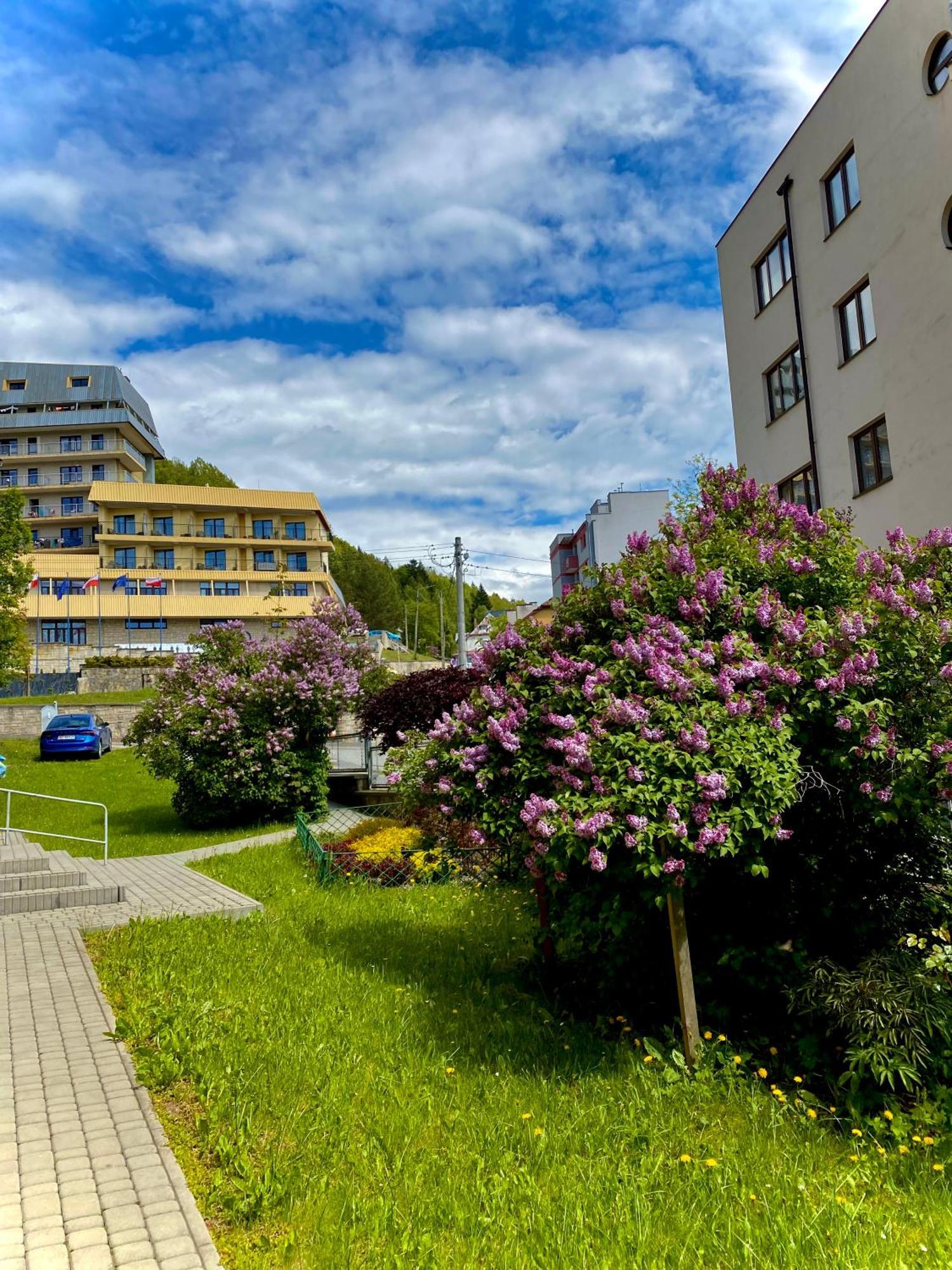 Cristal Apartament Krynica - Zdroj Dış mekan fotoğraf
